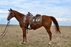 Wilma - Thumbnail 2