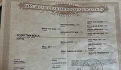 Boon Too Bella - Thumbnail 3