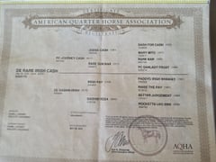 DE Rare Irish Cash - Thumbnail 3