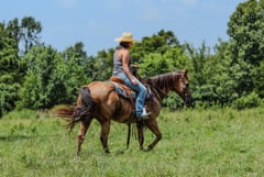 Abbots Hosea Cuervo - Thumbnail 5