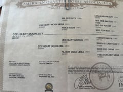 Cee Heart Moon Jay - Thumbnail 3
