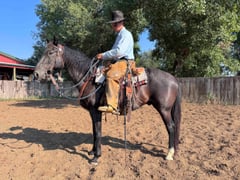 Diesel - Thumbnail 3