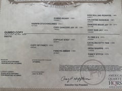 Gumbo Copy - Thumbnail 3