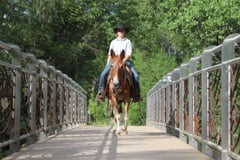 Ruby Anne - Thumbnail 5