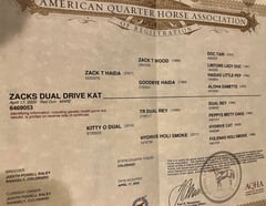 Zacks Dual Drive Cat - Thumbnail 2
