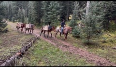 Ranger - Thumbnail 4