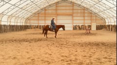 Punkin - Thumbnail 2