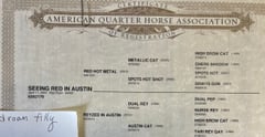 Seeing Red In Austin - Thumbnail 4