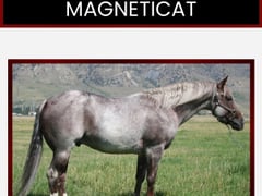 Magnetic Spark - Thumbnail 10