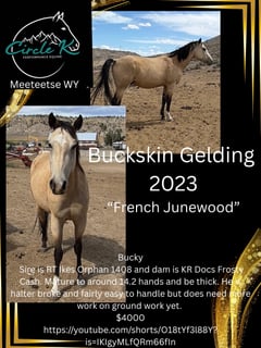 French Junewood - Thumbnail 2