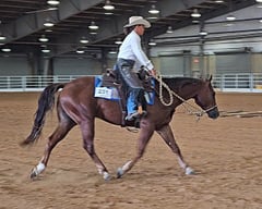 Hollys Gunsmoke - Thumbnail 3