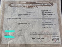 JCO docs cow breezy - Thumbnail 13