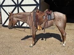 Rowdy Red Belle - Thumbnail 4