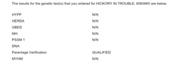 Hickory In Trouble - Thumbnail 11