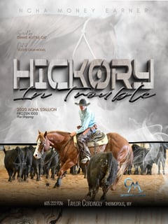 Hickory In Trouble - Thumbnail 12