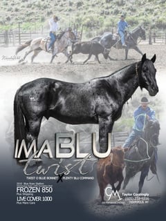 IMA BLU TWIST - Thumbnail 1
