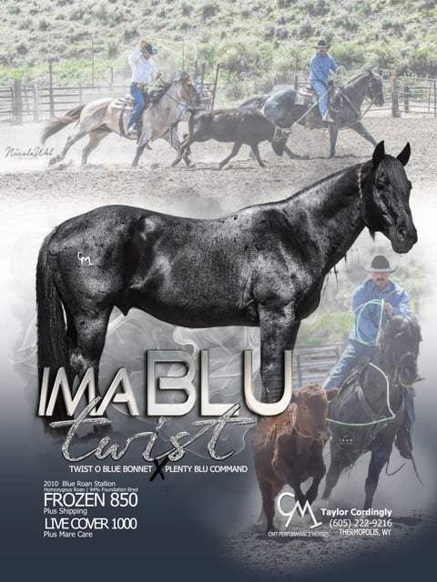 IMA BLU TWIST - Photo 1