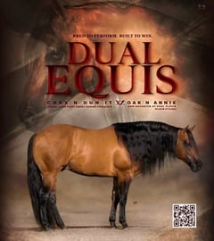 Dual Equis x Wilys Scooter - Thumbnail 15