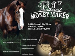 RC Money Maker - Thumbnail 3