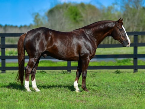 RC Money Maker - Photo 1