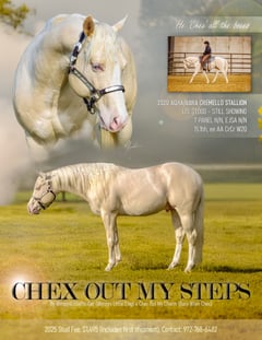 Chex Out My Steps - Thumbnail 2