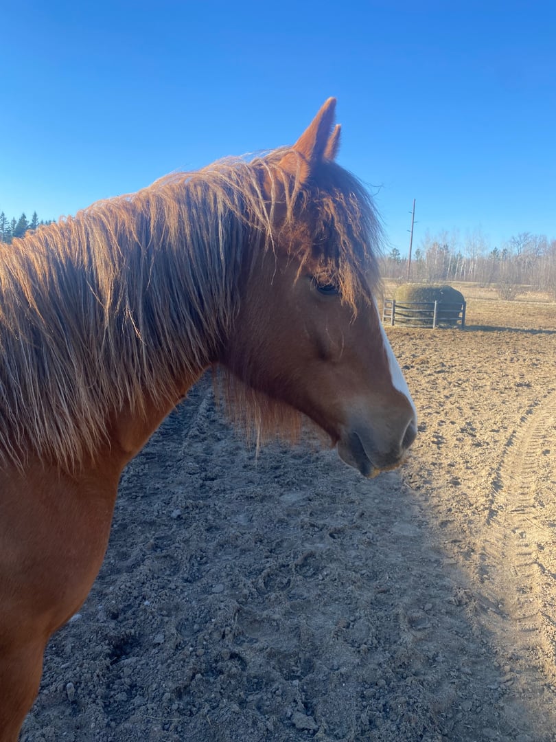 Hunka Burn Sassy Mae - Photo 1