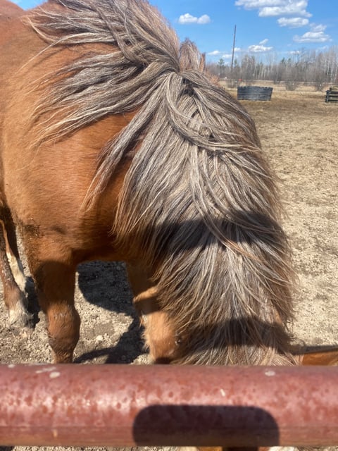 Hunka Burn Sassy Mae - Thumbnail 3