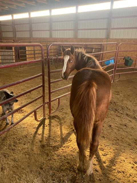 Hunka Burn Sassy Mae - Thumbnail 4