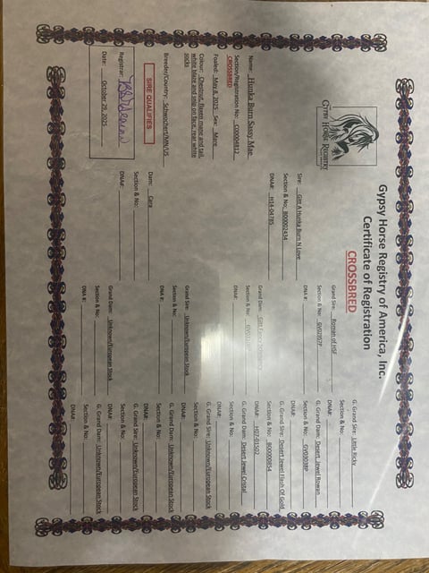 Hunka Burn Sassy Mae - Thumbnail 5