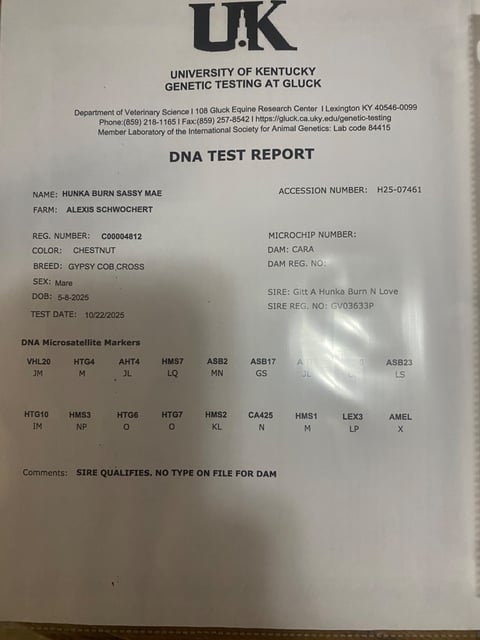 Hunka Burn Sassy Mae - Thumbnail 6