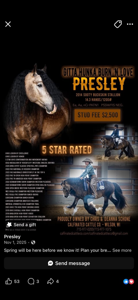 Hunka Burn Sassy Mae - Thumbnail 7