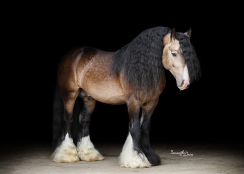 Hunka Burn Sassy Mae - Thumbnail 8