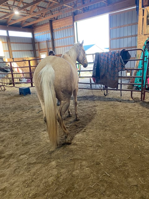 Hunka Burn Sassy Mae - Thumbnail 11