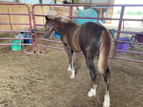 Hunka Burn Sassy Mae - Thumbnail 12