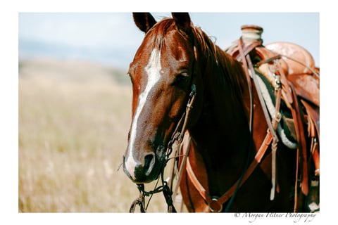 BOONEY OUTLAW - Thumbnail 4