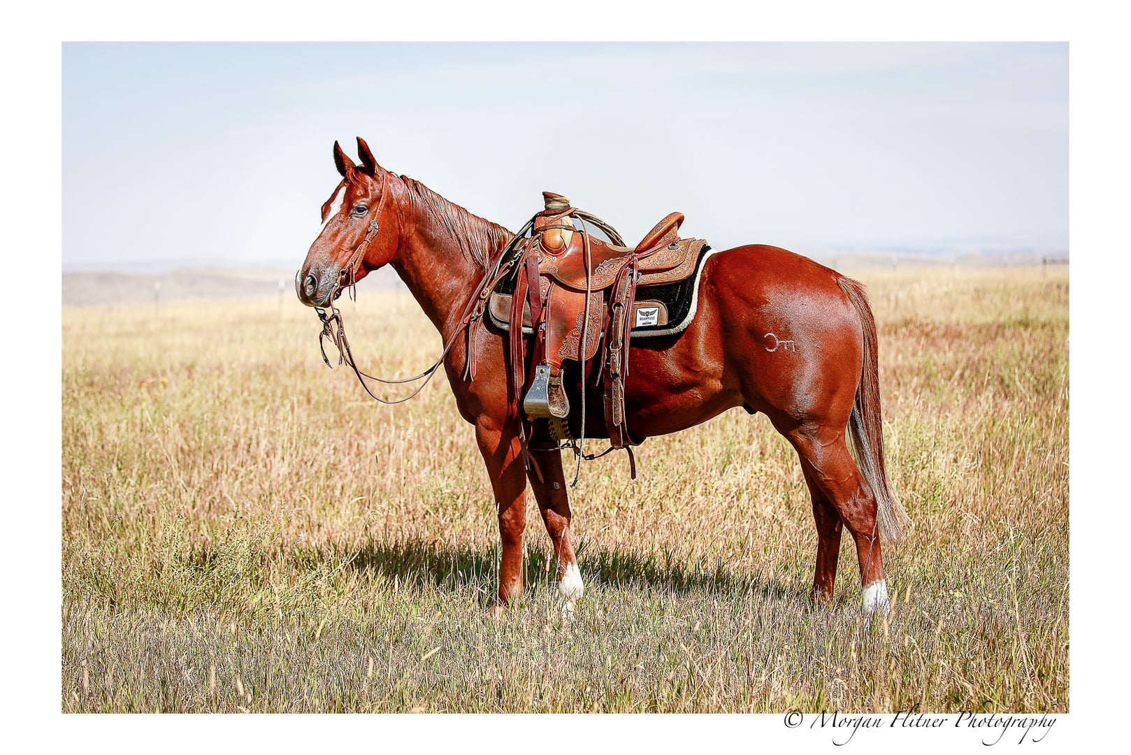 BOONEY OUTLAW - Photo 1