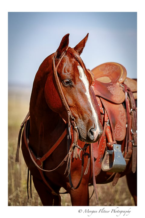 BOONEY OUTLAW - Thumbnail 3