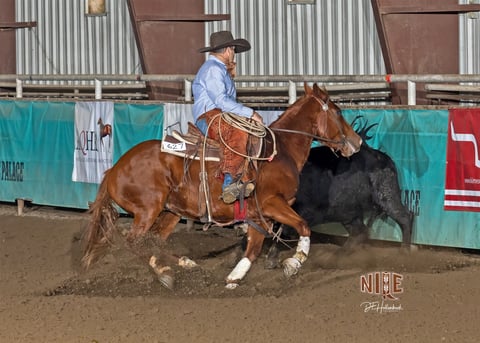 BOONEY OUTLAW - Thumbnail 7