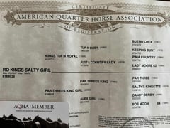 RO KINGS SALTY GIRL - Thumbnail 5
