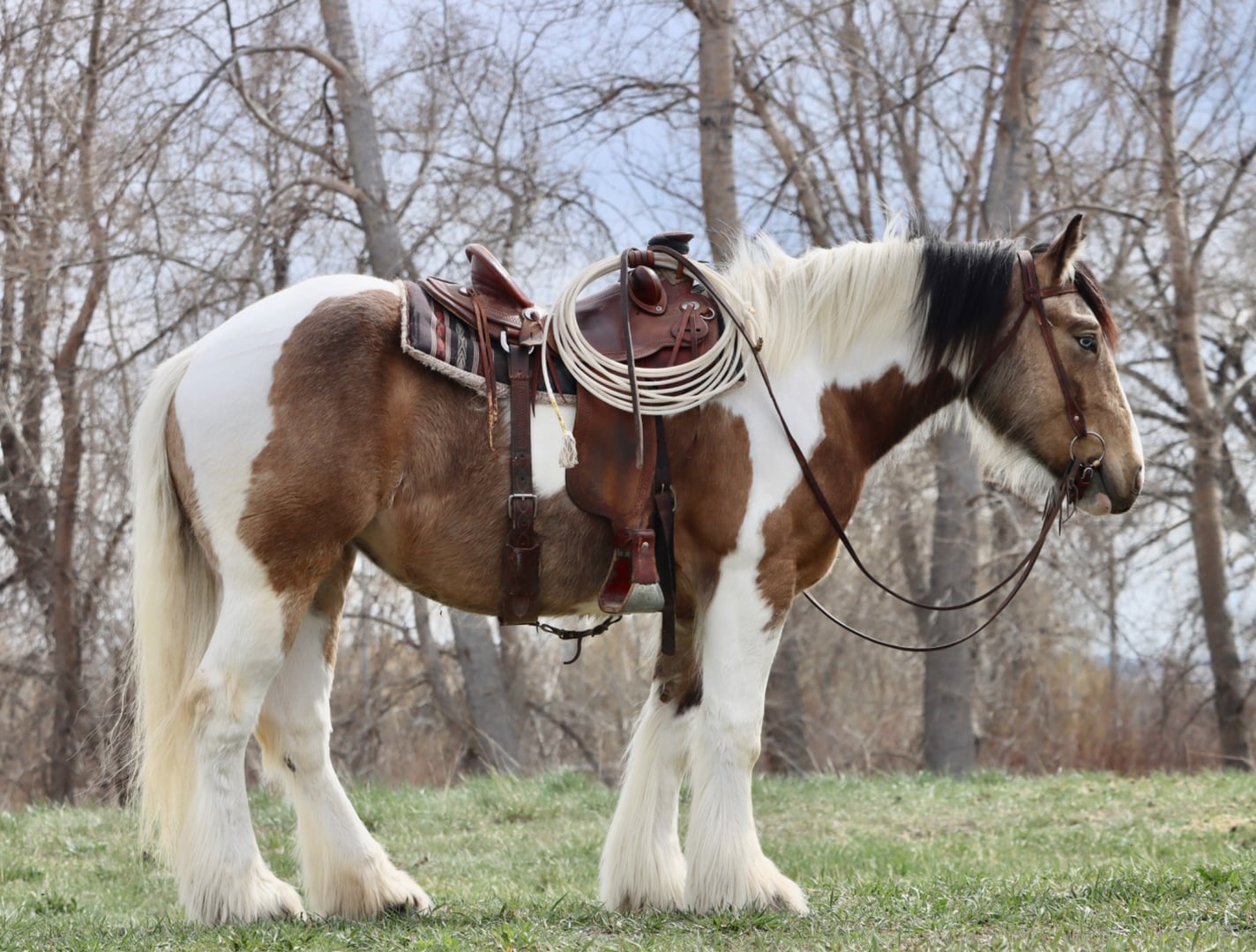 Patience Maggie - Photo 1