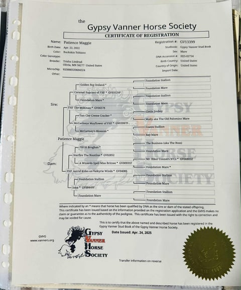 Patience Maggie - Thumbnail 3