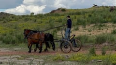 Dolly - Thumbnail 3