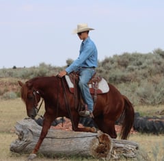 Metallics Ice Cube - Thumbnail 5