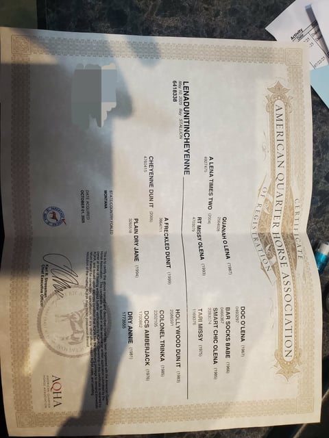 Lenadunitincheyenne - Thumbnail 3