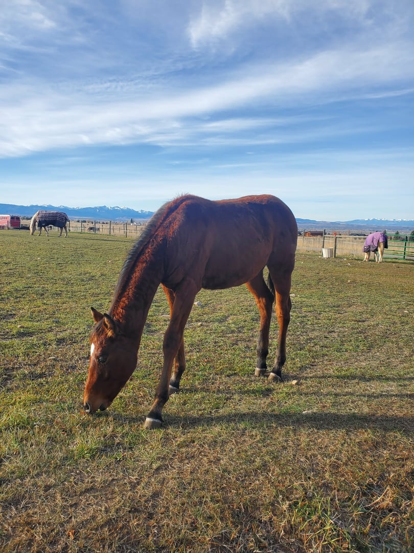 Lenadunitincheyenne - Photo 1