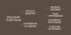 METAL N CHEX - Thumbnail 3