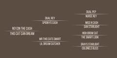 WRITTEN IN CASH - Thumbnail 5