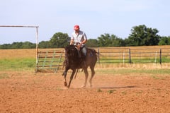 Rango - Thumbnail 13