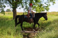 Rango - Thumbnail 14