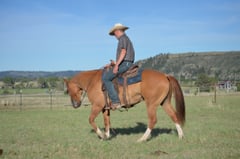 JESSIES FLASHY MAN - Thumbnail 6
